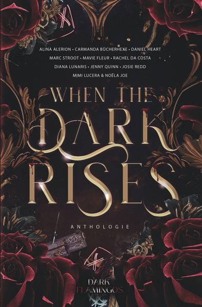 Cover von When the Dark Rises