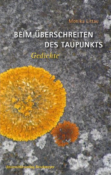 Cover von Beim Überschreiten des Taupunkts