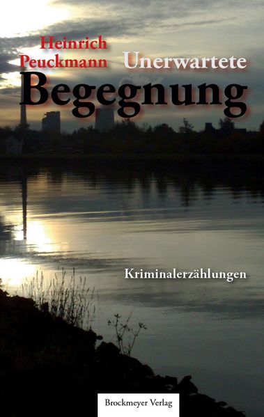 Cover von Unerwartete Begegnung.