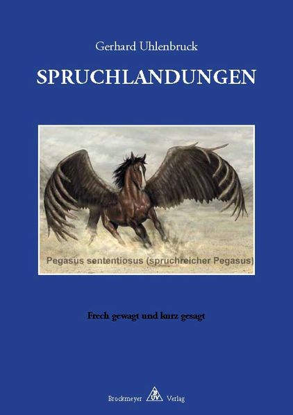 Cover von SPRUCHLANDUNGEN