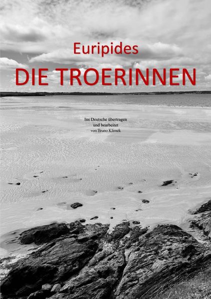 Cover von Euripides DIE TROERINNEN. Ins Deutsche übertragen und bearbeitet von Bruno Klimek