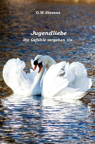 Cover von Begegnungen/Jugendliebe
