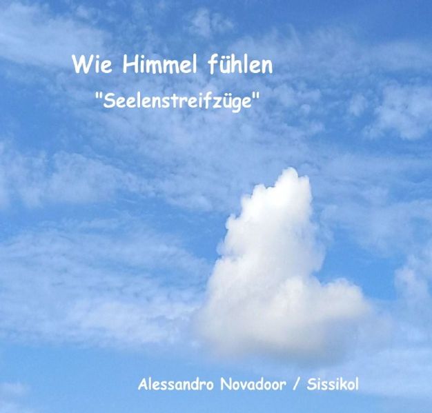 Cover von Wie Himmel fühlen „Seelenstreifzüge“