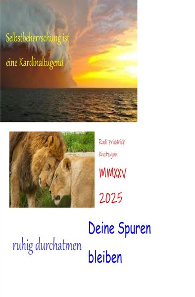 Cover von Deine Spuren bleiben MMXXV 2025
