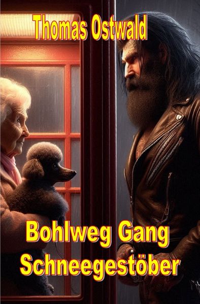 Cover von Bohlweg Gang – Schneegestöber