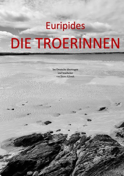 Cover von Euripides DIE TROERINNEN Ins Deutsche übertragen und bearbeitet von Bruno Klimek
