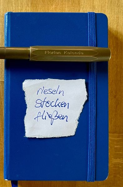 Cover von Rieseln stocken fließen