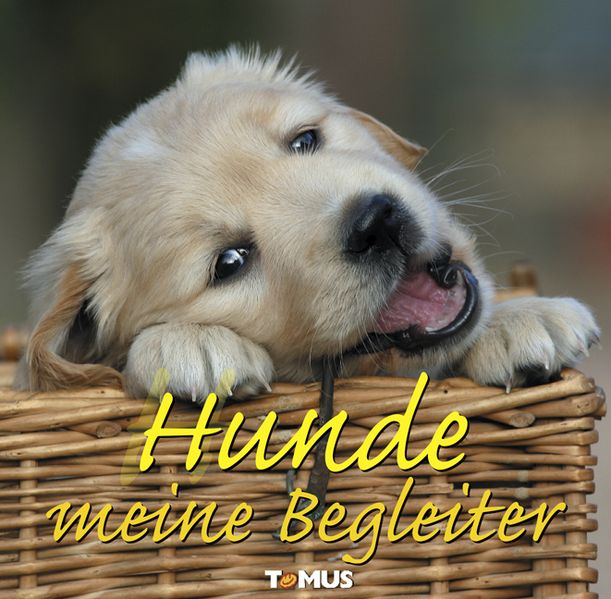 Cover von Hunde – meine Begleiter