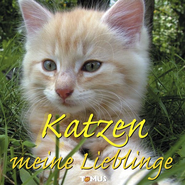Cover von Katzen – meine Lieblinge