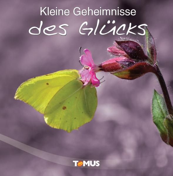 Cover von Kleine Geheimnisse des Glücks
