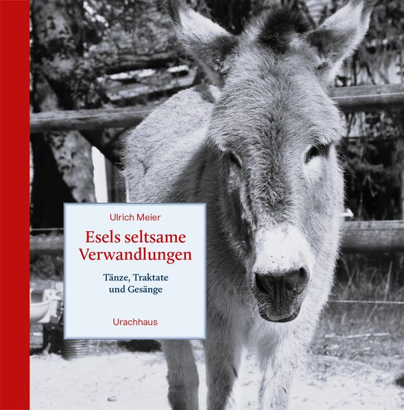 Cover von Esels seltsame Verwandlungen
