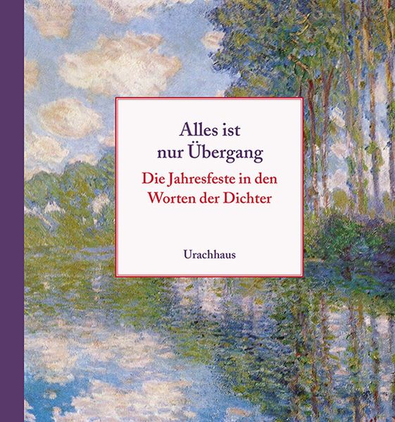 Cover von Alles ist nur Übergang