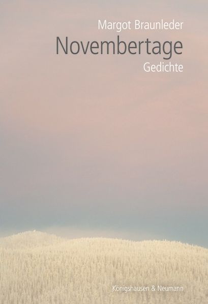 Cover von Novembertage
