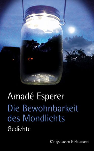 Cover von Die Bewohnbarkeit des Mondlichts