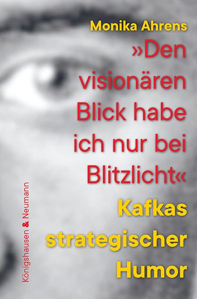 Cover von „Den visionären Blick habe ich nur bei Blitzlicht“
