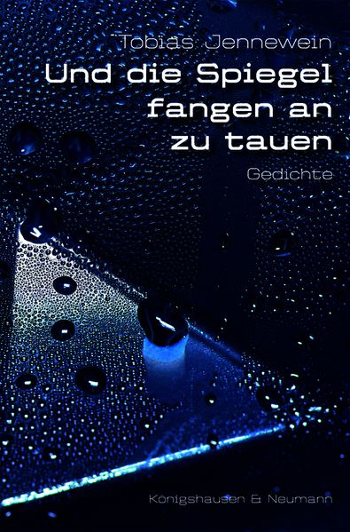 Cover von Und die Spiegel fangen an zu tauen