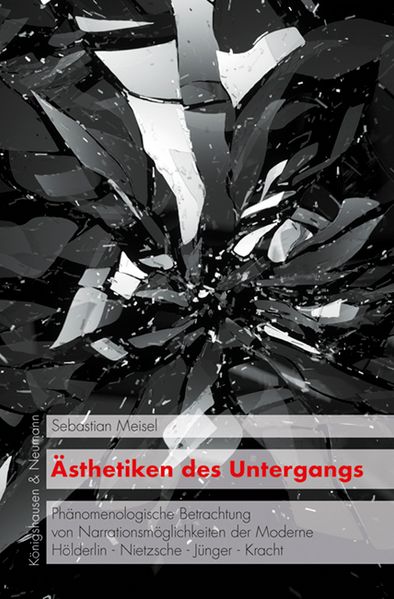 Cover von Ästhetiken des Untergangs