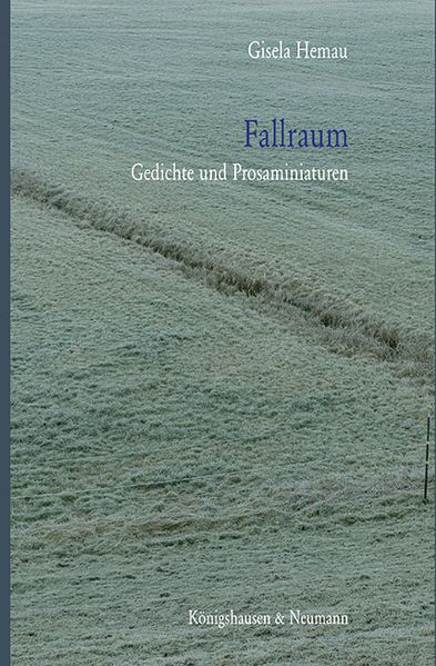 Cover von Fallraum
