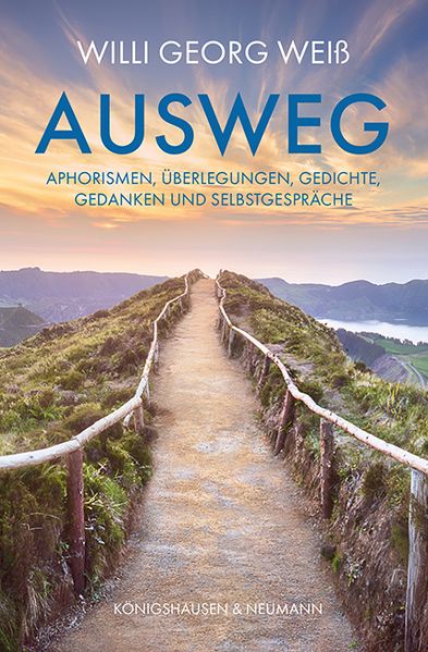 Cover von Ausweg
