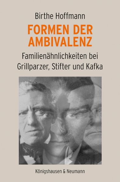 Cover von Formen der Ambivalenz