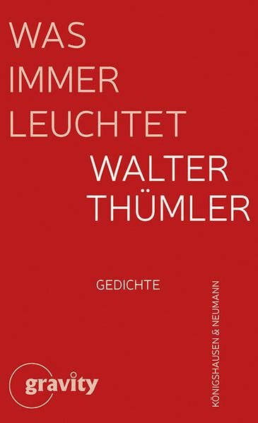 Cover von Was immer leuchtet