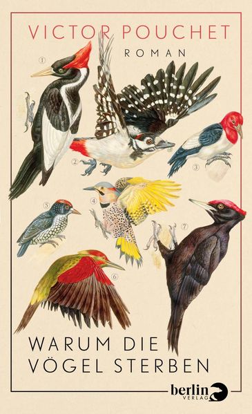 Cover von Warum die Vögel sterben