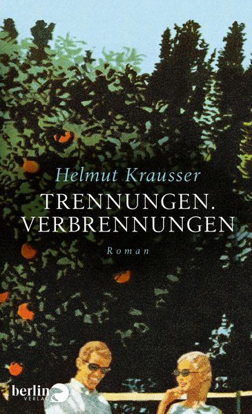 Cover von Trennungen. Verbrennungen
