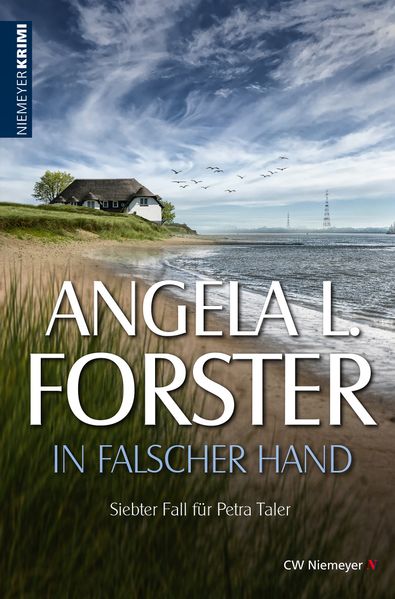Cover von In falscher Hand