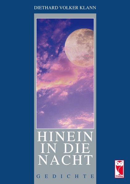 Cover von Hinein in die Nacht