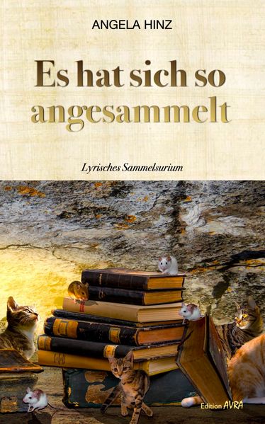 Cover von Es hat sich so angesammelt