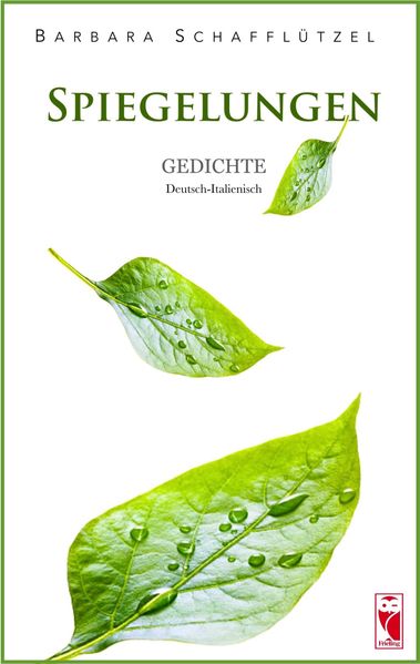 Cover von Spiegelungen
