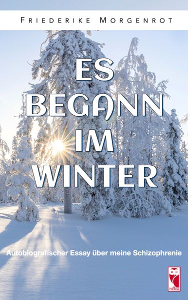 Cover von Es begann im Winter