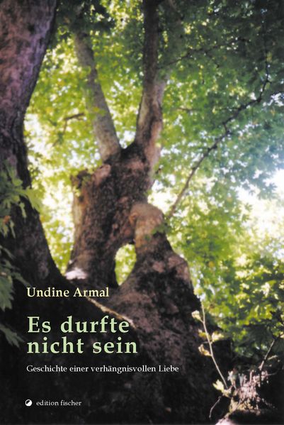 Cover von Es durfte nicht sein