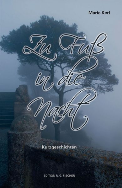Cover von Zu Fuß in die Nacht