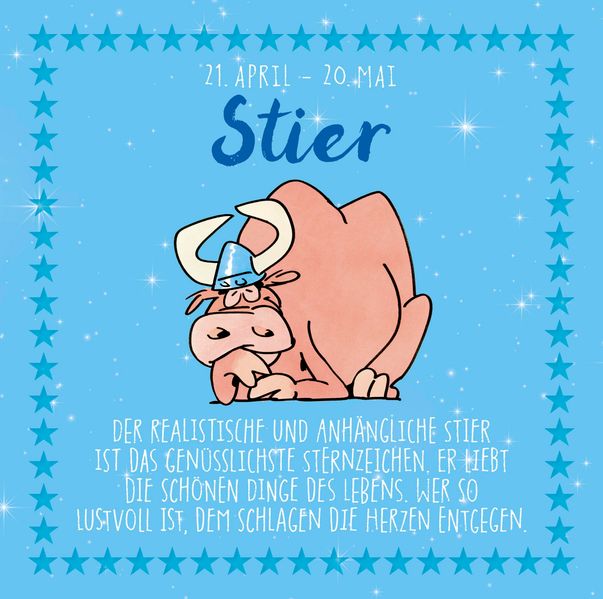 Cover von Stier