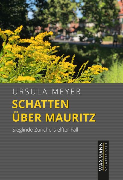 Cover von Schatten über Mauritz