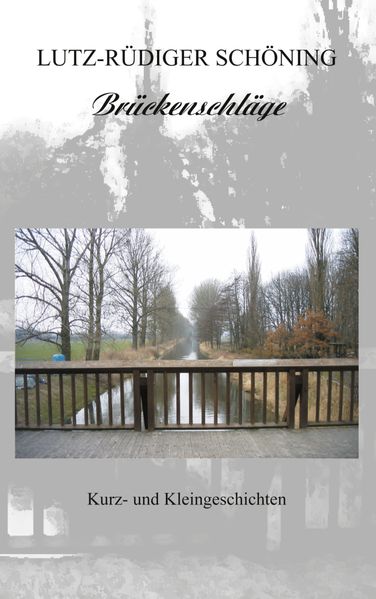 Cover von Brückenschläge