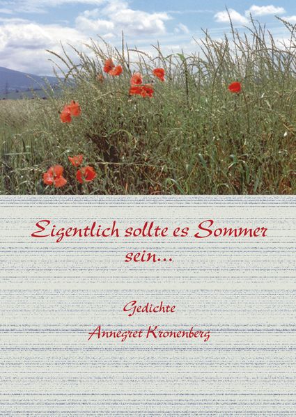 Cover von Eigentlich sollte Sommer sein