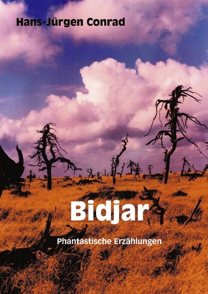 Cover von Bidjar