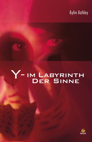 Cover von Y – Im Labyrinth der Sinne