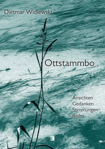 Cover von Ottstammbo