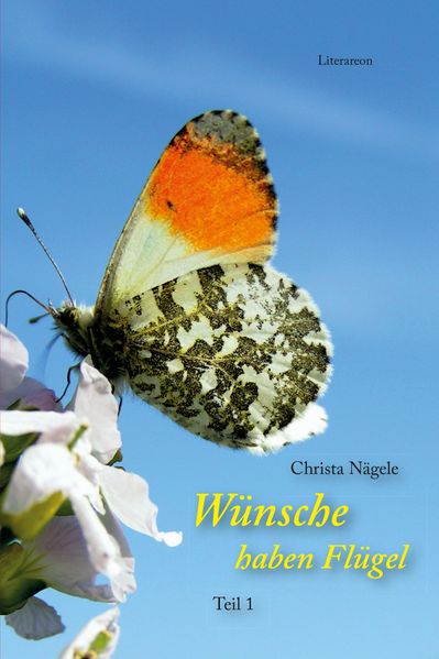 Cover von Wünsche haben Flügel