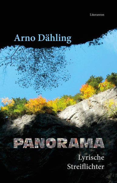 Cover von Panorama