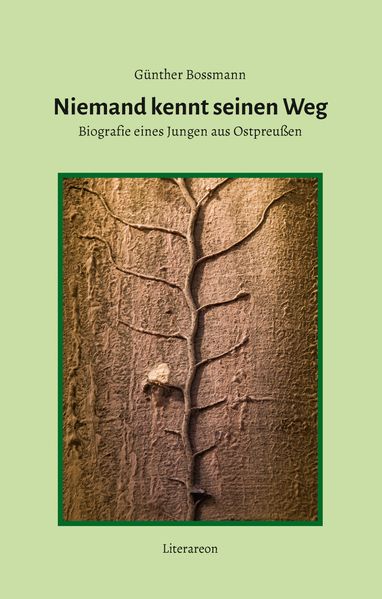 Cover von Niemand kennt seinen Weg