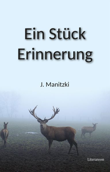 Cover von Ein Stück Erinnerung