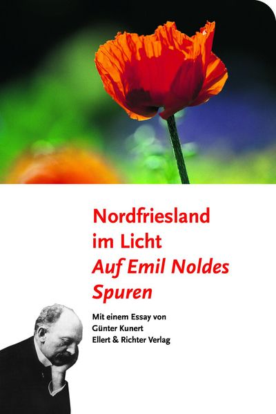 Cover von Nordfriesland im Licht