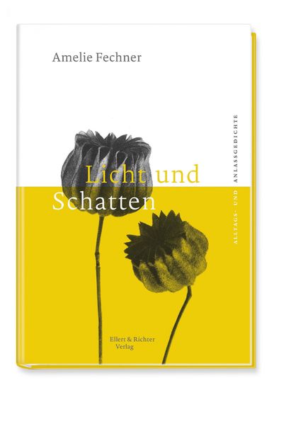 Cover von Licht und Schatten