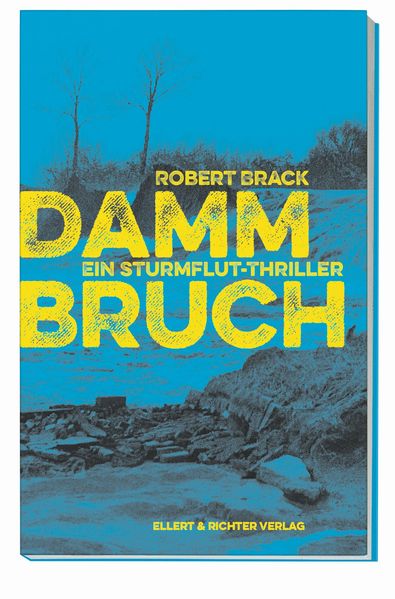 Cover von Dammbruch