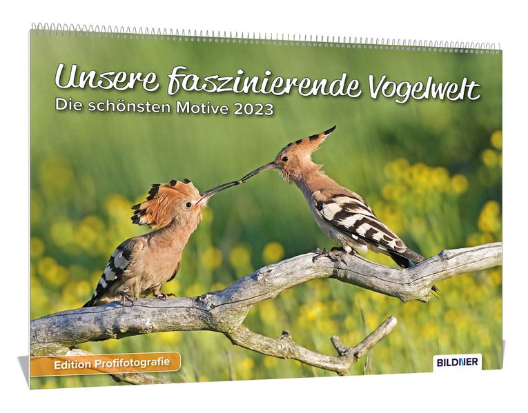 Cover von Vogelkalender 2023, Unsere faszinierende Vogelwelt! Die schönsten Aufnahmen heimischer Vögel 2023 – Hochwertiger Wandkalender DIN A3 quer