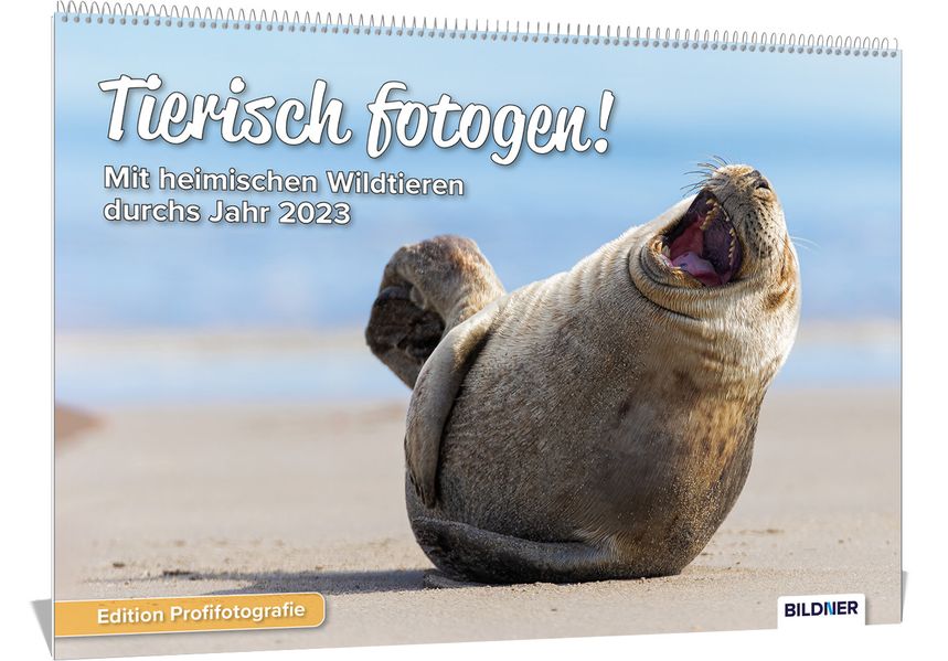 Cover von Tierkalender 2023, Tierisch fotogen! Mit heimischen Wildtieren durchs Jahr 2023, die schönsten Tiermotive und Aufnahmen – Hochwertiger Wandkalender DIN A3 quer